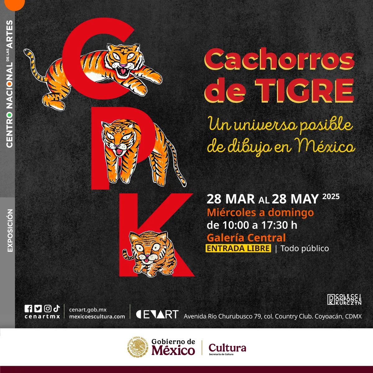 Cachorros de tigre